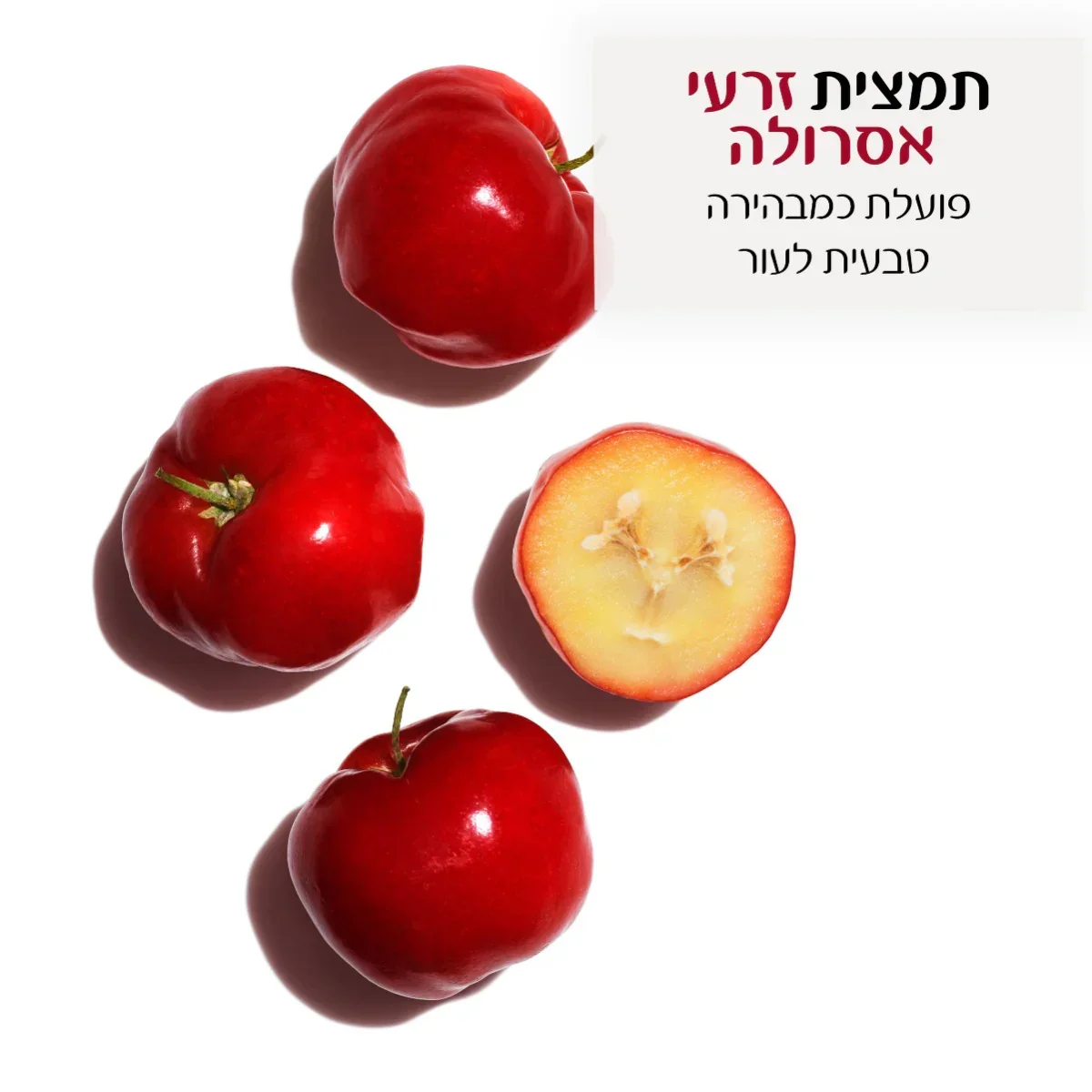 תמונה ממוזערת 3