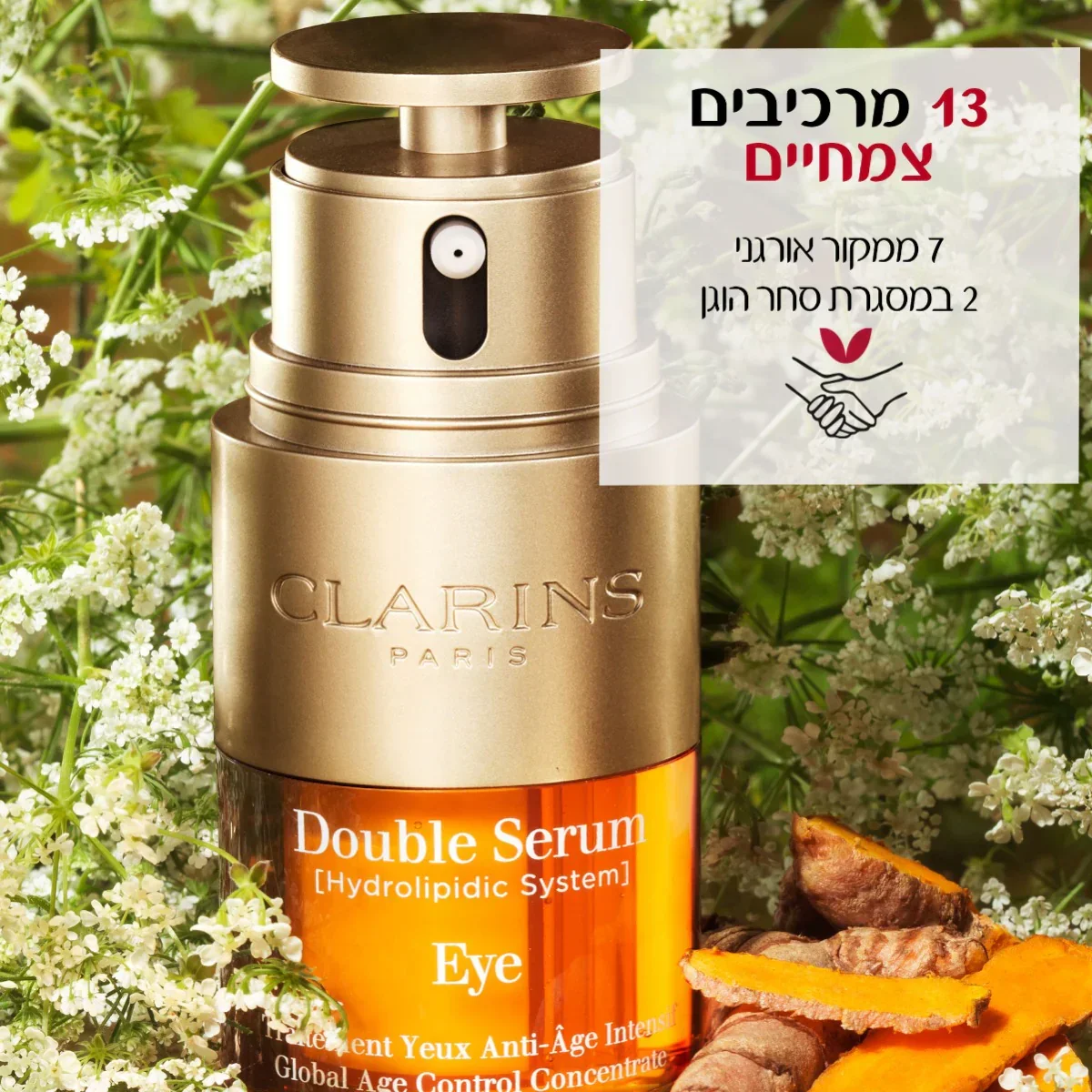 תמונה ממוזערת 8