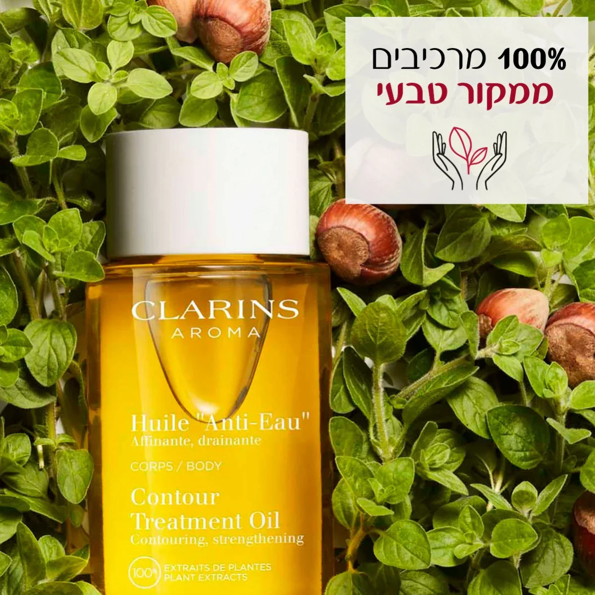 תמונה ממוזערת 10