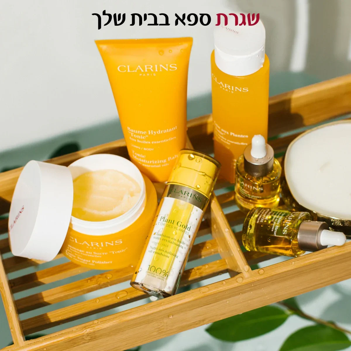 תמונה ממוזערת 9