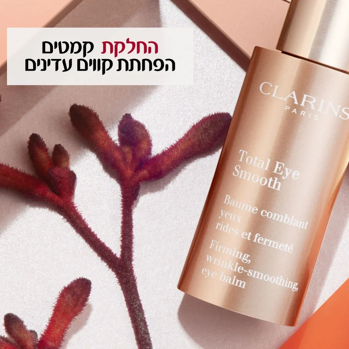 תמונה ממוזערת 4