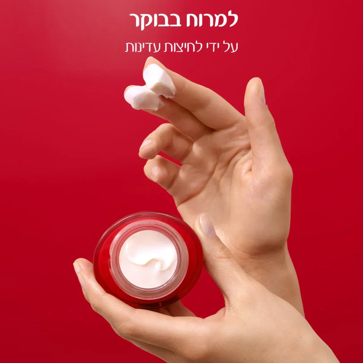 תמונה ממוזערת 4