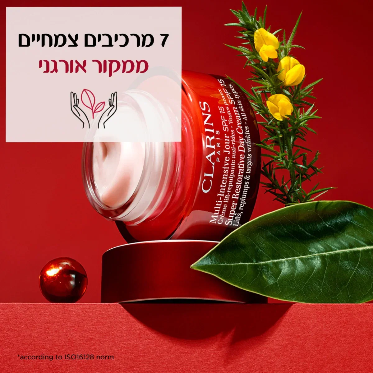 תמונה ממוזערת 5