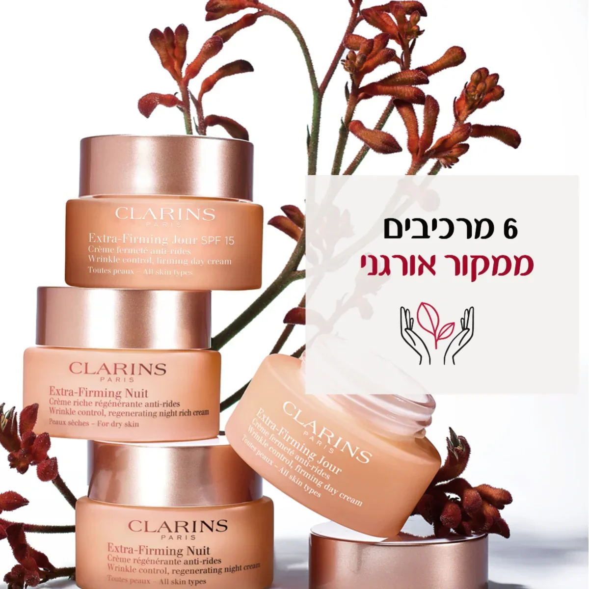 תמונה ממוזערת 8