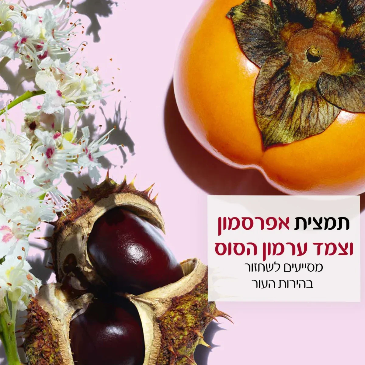 תמונה ממוזערת 3