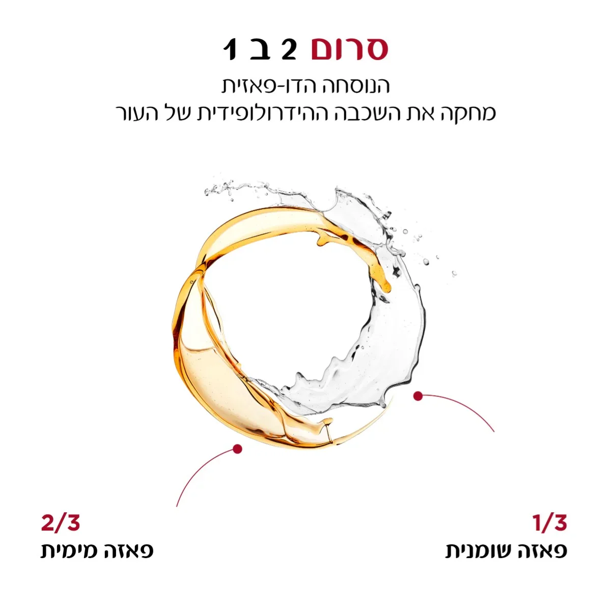 תמונה ממוזערת 2
