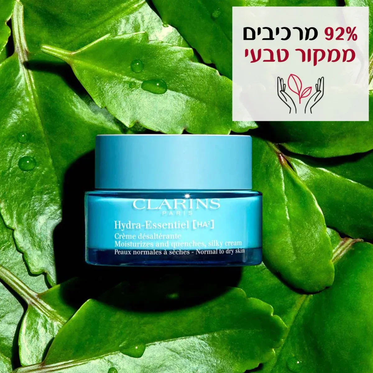 תמונה ממוזערת 10