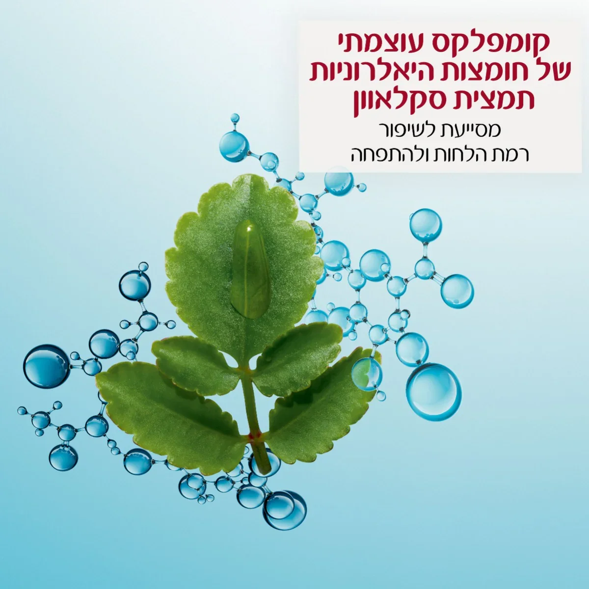 תמונה ממוזערת 3