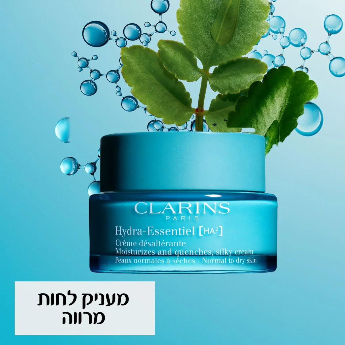 תמונה ממוזערת 4