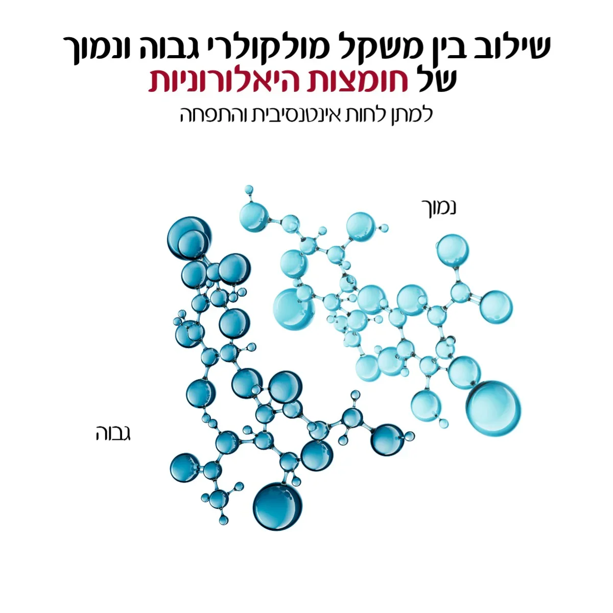 תמונה ממוזערת 7