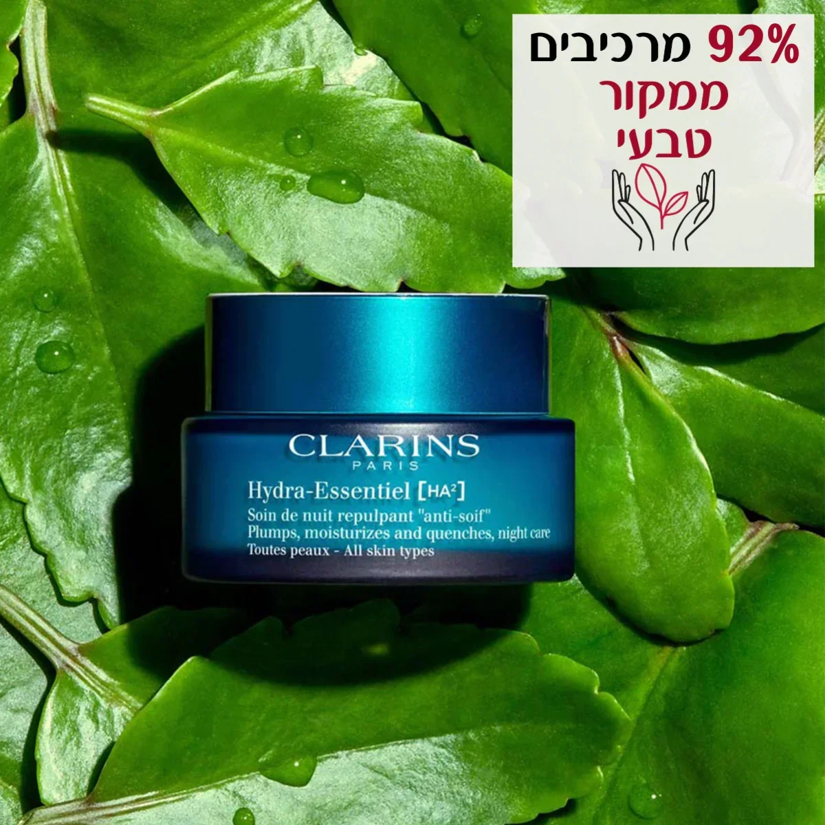 תמונה ממוזערת 12