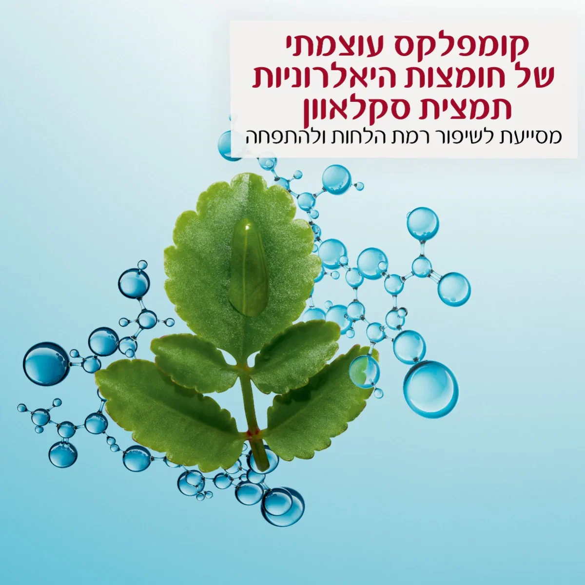 תמונה ממוזערת 3