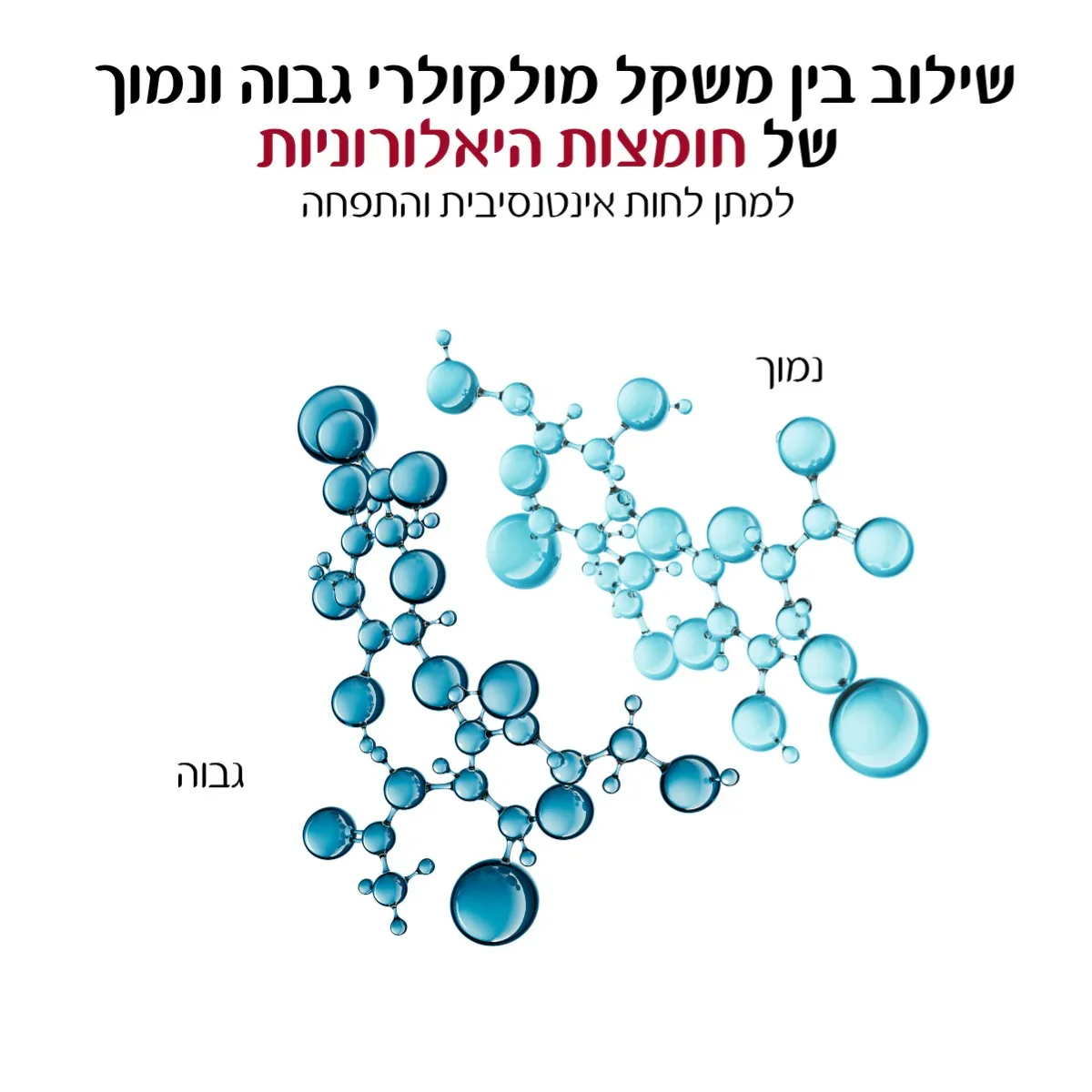 תמונה ממוזערת 9