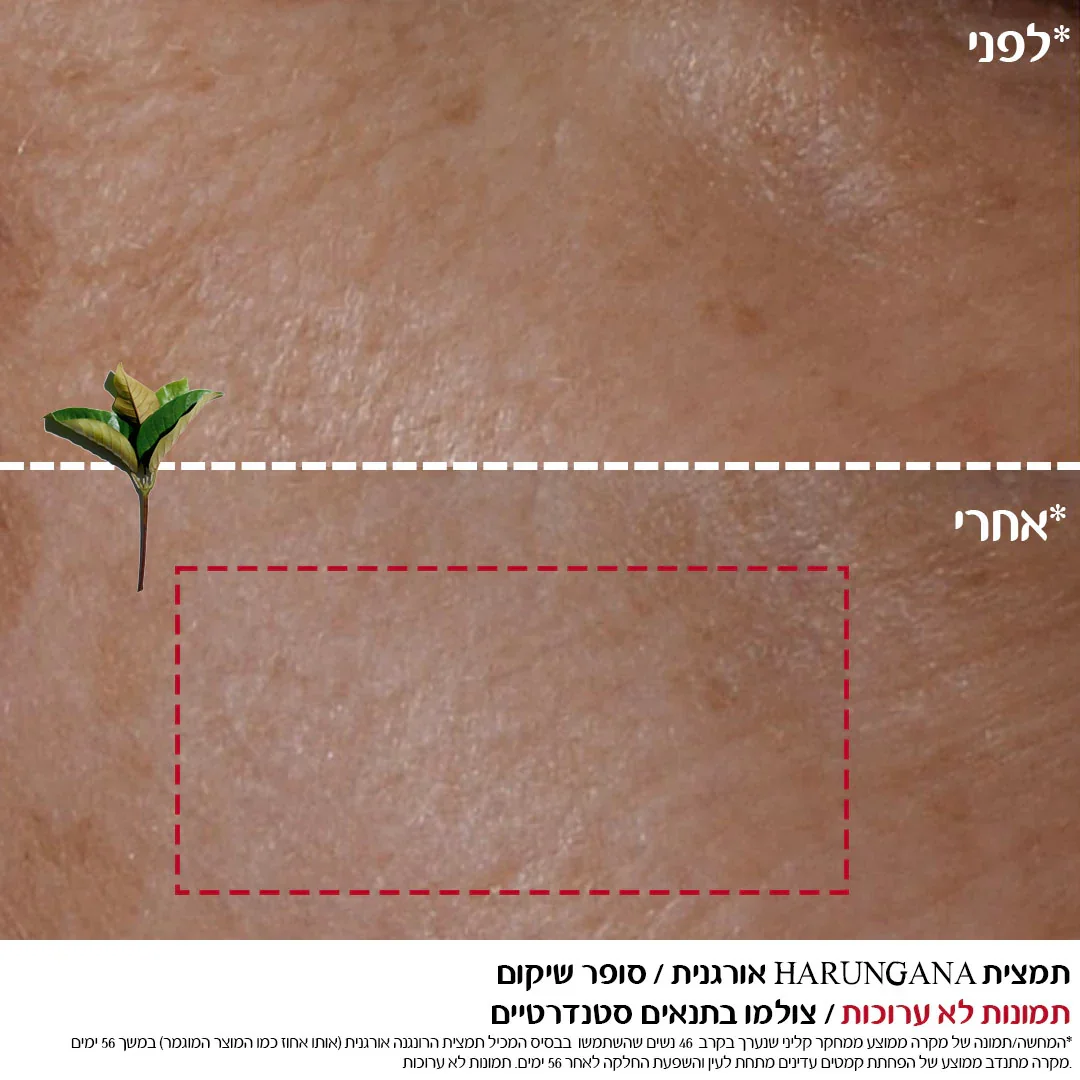 תמונה ממוזערת 2
