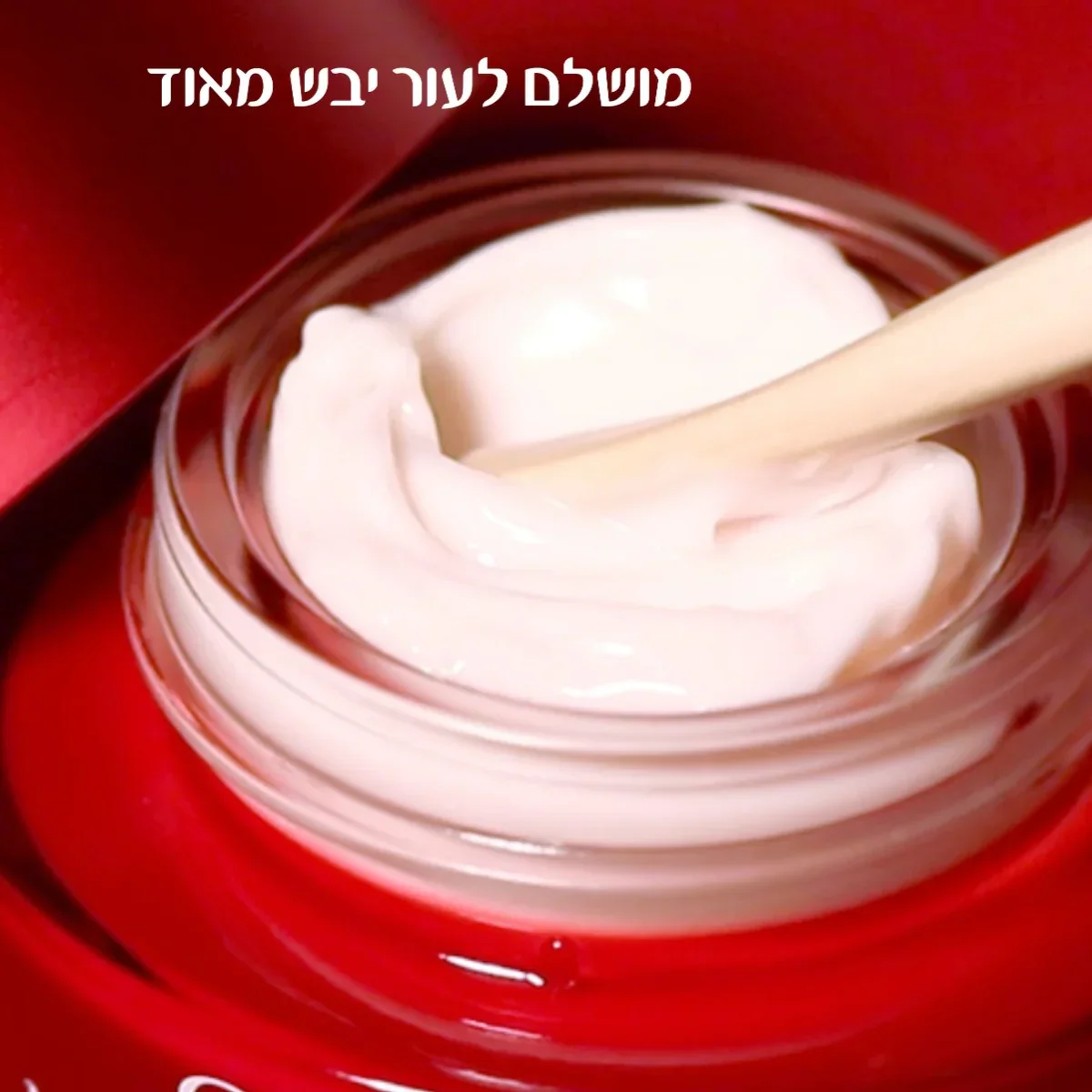 תמונה ממוזערת 3